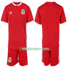 Billige Fotballdrakter Wales Barn Hjemmedraktsett 2018/19 Kortermet